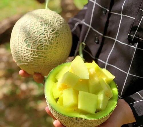 娱乐吃瓜的瓜,揭秘明星幕后故事  第1张